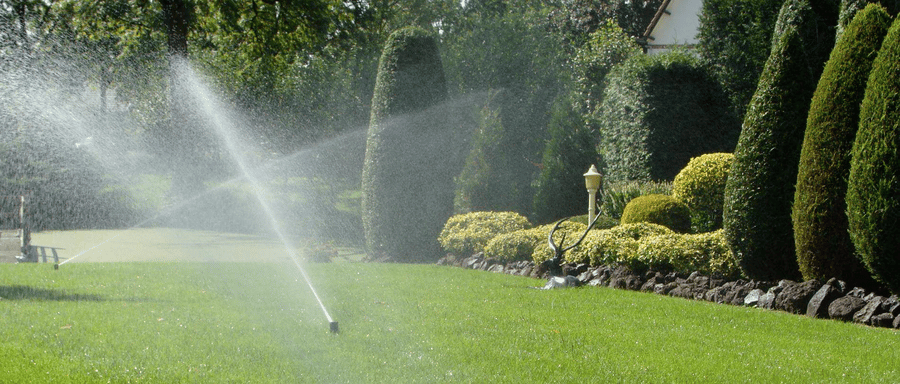 Zorg voor een frisse groene tuin dankzij een slim beregeningssysteem